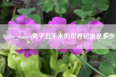 沭阳男子五千米的世界纪录是多少