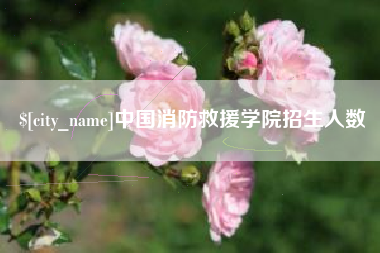 沭阳中国消防救援学院招生人数