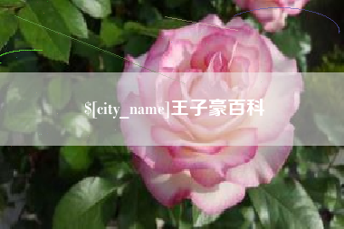 沭阳王子豪百科