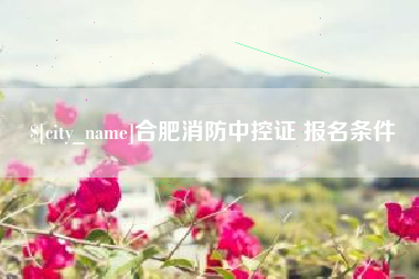 沭阳合肥消防中控证 报名条件