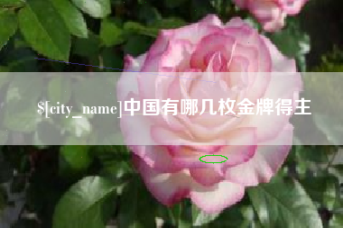 沭阳中国有哪几枚金牌得主