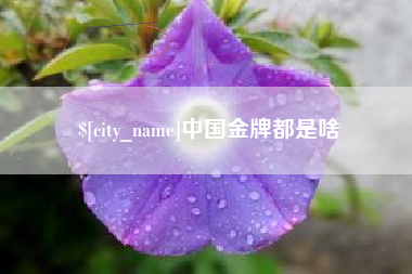 沭阳中国金牌都是啥