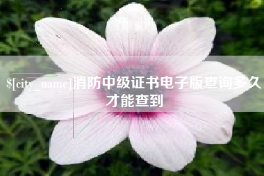 沭阳消防中级证书电子版查询多久才能查到