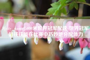 沭阳5000米世界冠军配速-世界冠军们往往能在比赛中巧妙地分配体力