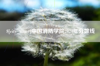 沭阳中国消防学院2024年分数线