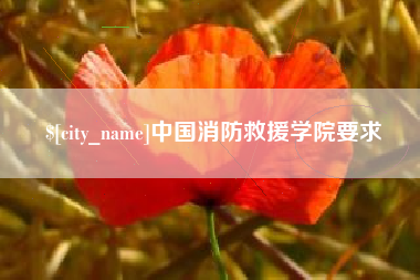 沭阳中国消防救援学院要求