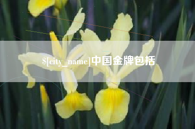 沭阳中国金牌包括
