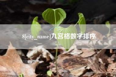 沭阳九宫格数字排序