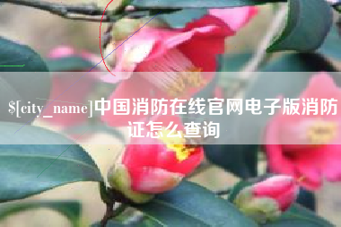 沭阳中国消防在线官网电子版消防证怎么查询