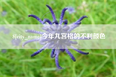 沭阳今年九宫格的不利颜色