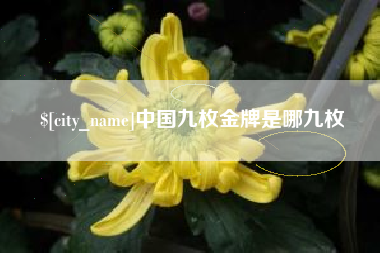 沭阳中国九枚金牌是哪九枚