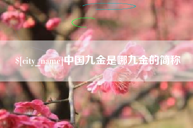沭阳中国九金是哪九金的简称