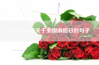 沭阳关于全国消防日的句子