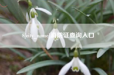 沭阳消防证查询入口