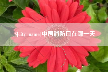 沭阳中国消防日在哪一天