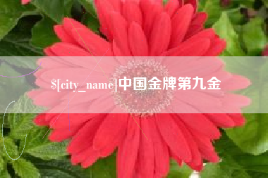 沭阳中国金牌第九金
