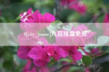 沭阳九宫排盘免费