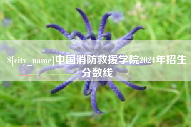 沭阳中国消防救援学院2024年招生分数线