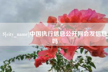 沭阳中国执行信息公开网会发信息吗