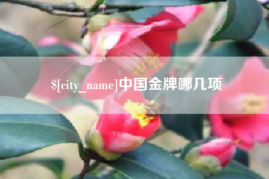 沭阳中国金牌哪几项