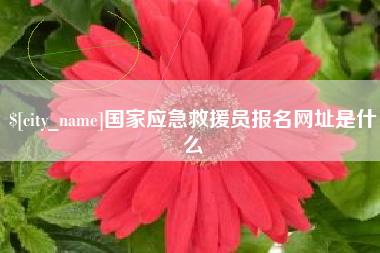 沭阳国家应急救援员报名网址是什么