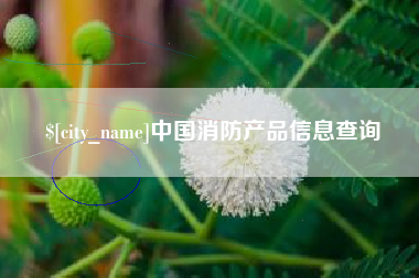沭阳中国消防产品信息查询