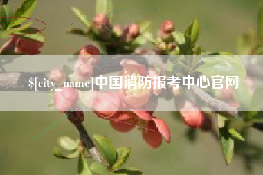 沭阳中国消防报考中心官网