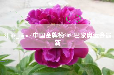 沭阳中国金牌榜2024巴黎奥运会最新