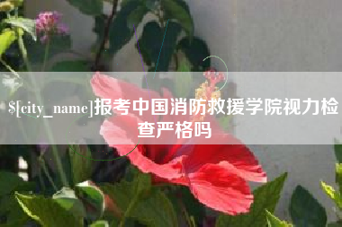 沭阳报考中国消防救援学院视力检查严格吗