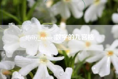 沭阳数字的九宫格