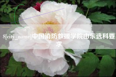 沭阳中国消防救援学院山东选科要求