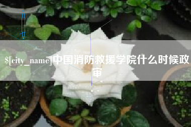 沭阳中国消防救援学院什么时候政审
