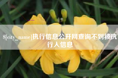 沭阳执行信息公开网查询不到被执行人信息