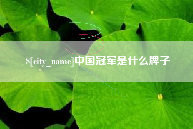 沭阳中国冠军是什么牌子