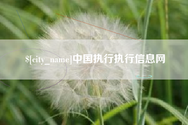 沭阳中国执行执行信息网