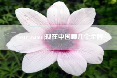 沭阳现在中国哪几个金牌