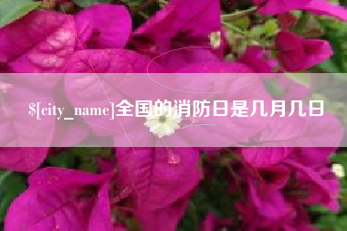 沭阳全国的消防日是几月几日