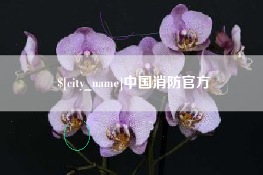 沭阳中国消防官方