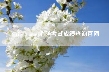 沭阳消防考试成绩查询官网