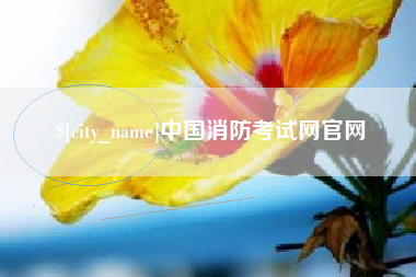沭阳中国消防考试网官网