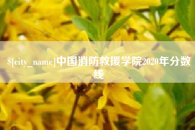 沭阳中国消防救援学院2020年分数线
