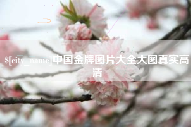沭阳中国金牌图片大全大图真实高清