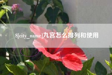 沭阳九宫怎么排列和使用