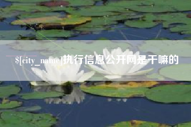 沭阳执行信息公开网是干嘛的