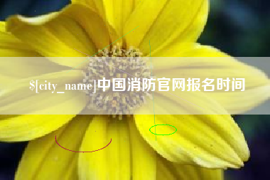 沭阳中国消防官网报名时间