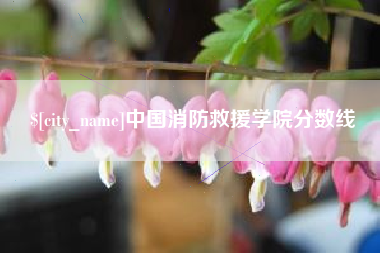 沭阳中国消防救援学院分数线
