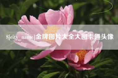 沭阳金牌图片大全大图卡通头像