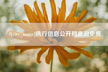 沭阳执行信息公开网查询免费