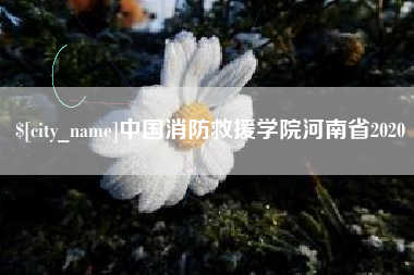 沭阳中国消防救援学院河南省2020