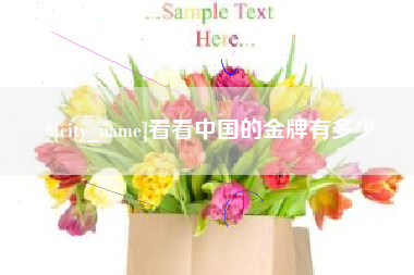 沭阳看看中国的金牌有多少